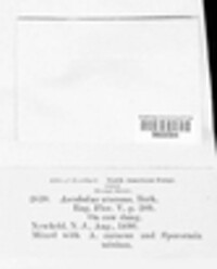 Image Associated With the Occurence